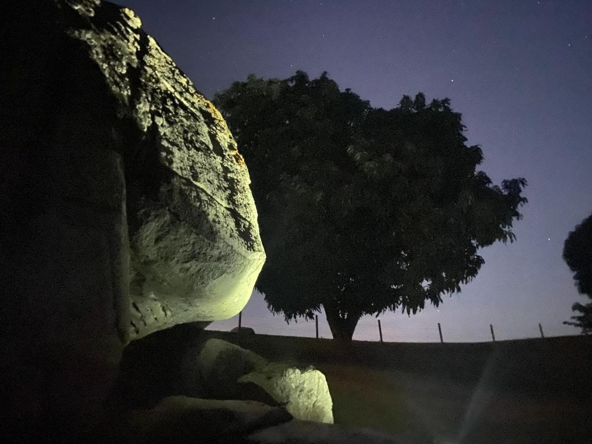 ホテル Lejos Eco Retreat ビエケス エクステリア 写真