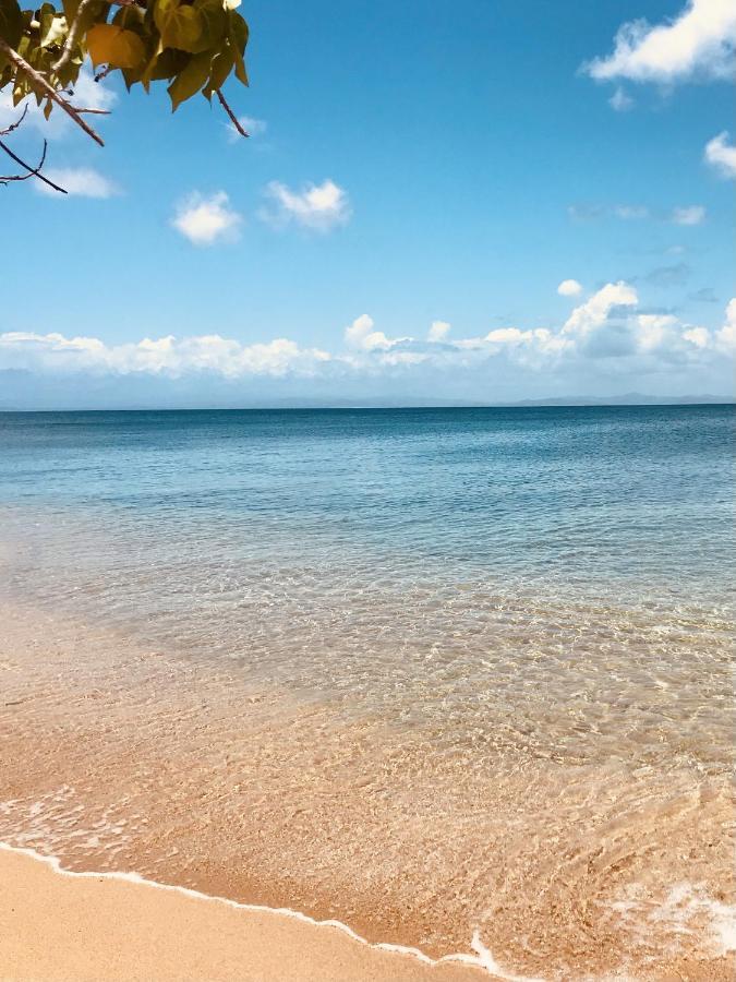 ホテル Lejos Eco Retreat ビエケス エクステリア 写真